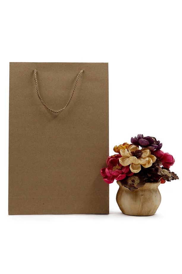 Kraft Premium Karton Çanta 25 X 38 X 8 Cm 2 Adet Hediye Poşeti - 2