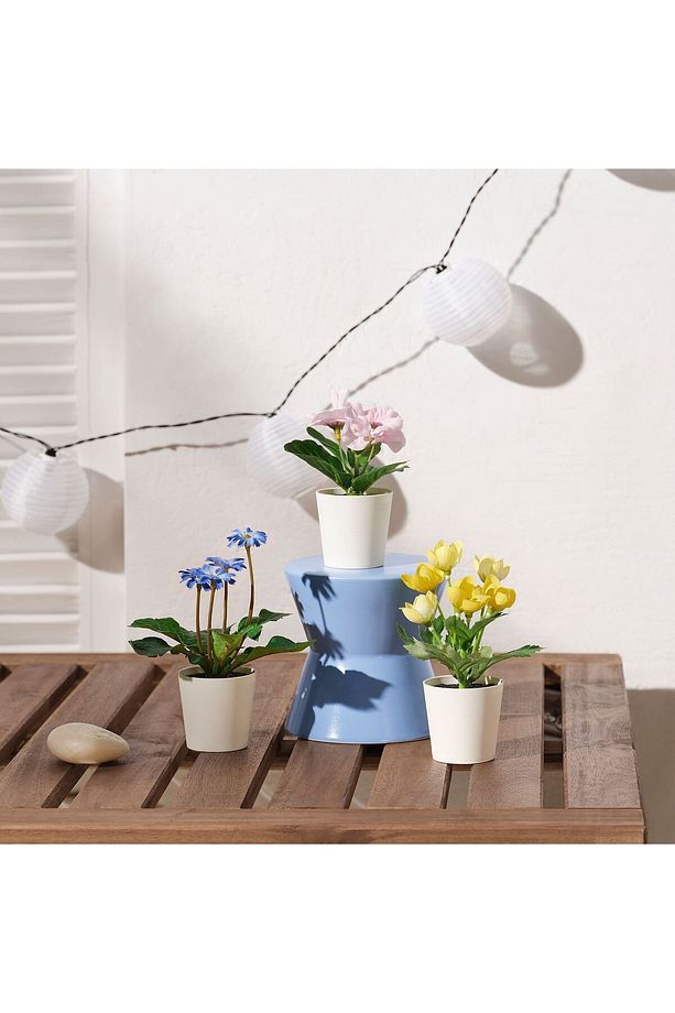 Fejka Saksılı Yapay Bitki, Çok Renkli, 6 cm, 3 Adet, Sarı - Pembe - Mavi - 3
