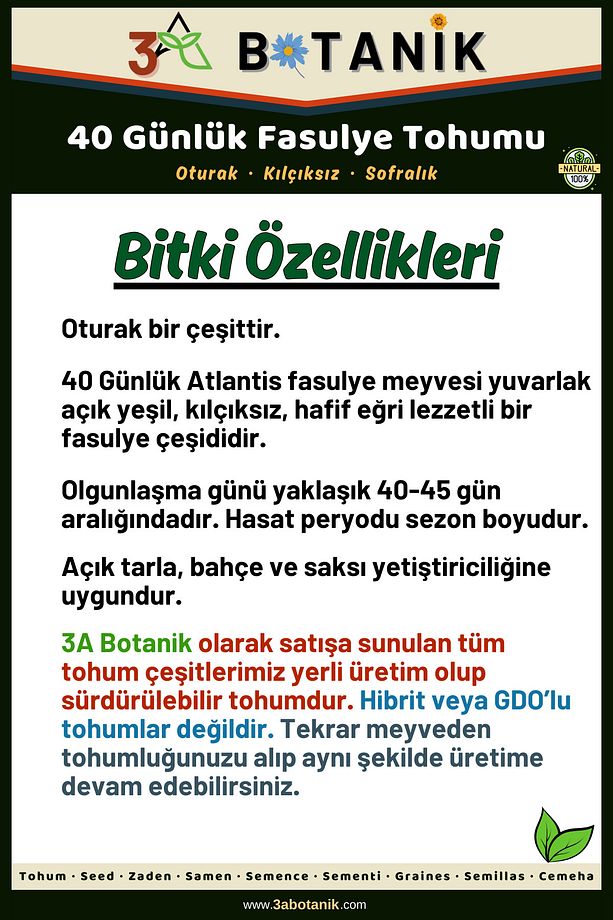 40 Günlük Oturak Fasulye Tohumu, Yerli ve Sürdürülebilir Tohum, 10 Gram Fasulye Tohumu - 2