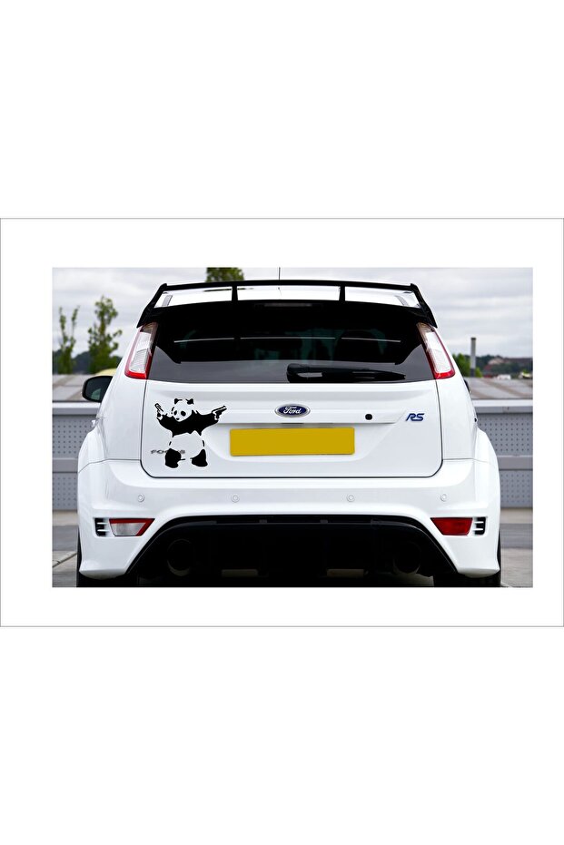 ملصق الباندا المسلح متعدد الأغراض - 3