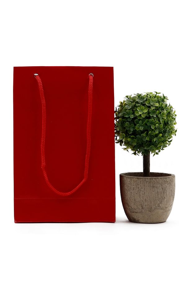 Kırmızı Premium Karton Çanta 12 X 17 X 5 Cm 2 Adet Hediye Poşeti - 2