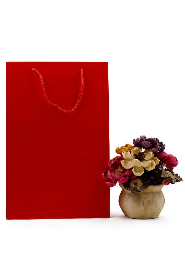 Kırmızı Premium Karton Çanta 25 x 38 x 8 cm 2 Adet Hediye Poşeti - 2