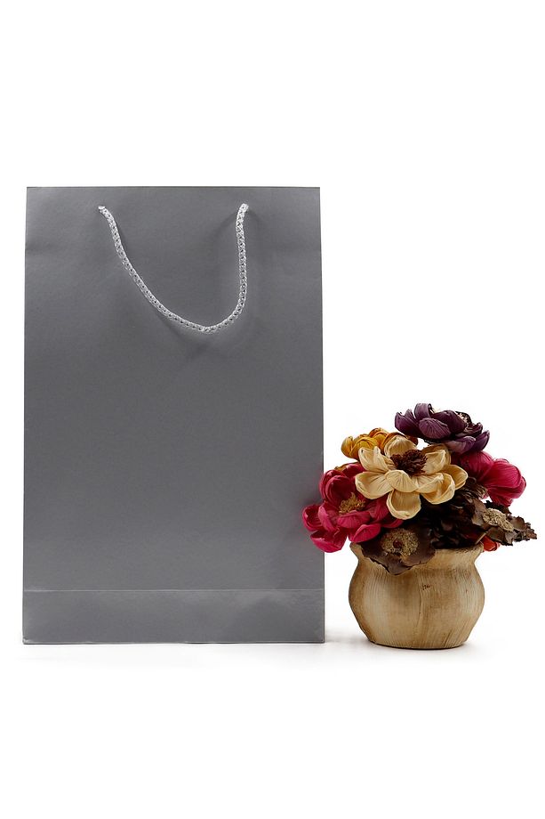 Gümüş Premium Karton Çanta 25 x 38 x 8 cm 2 Adet Hediye Poşeti - 2