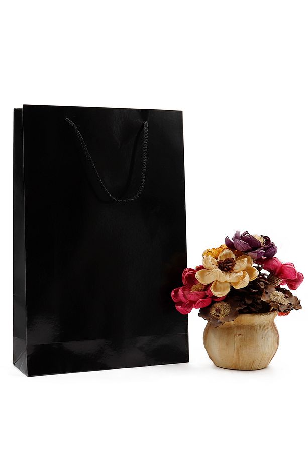 Siyah Premium Karton Çanta 25 x 38 x 8 cm 2 Adet Hediye Poşeti - 1