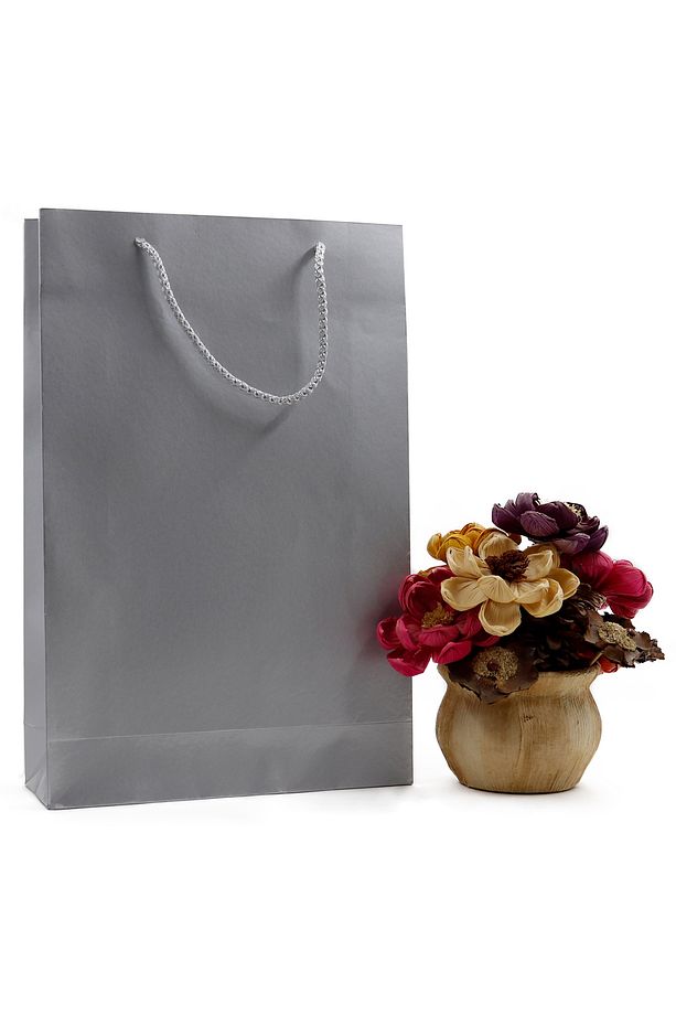Gümüş Premium Karton Çanta 25 x 38 x 8 cm 2 Adet Hediye Poşeti - 1