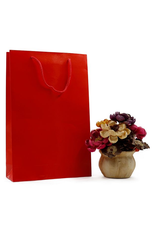 Kırmızı Premium Karton Çanta 25 x 38 x 8 cm 2 Adet Hediye Poşeti - 1