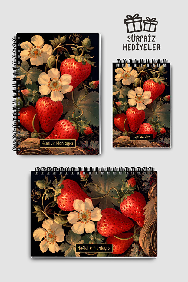 Planning Set of 3, Daily Planner, Weekly Planner, To-Do List, Academic Agenda
