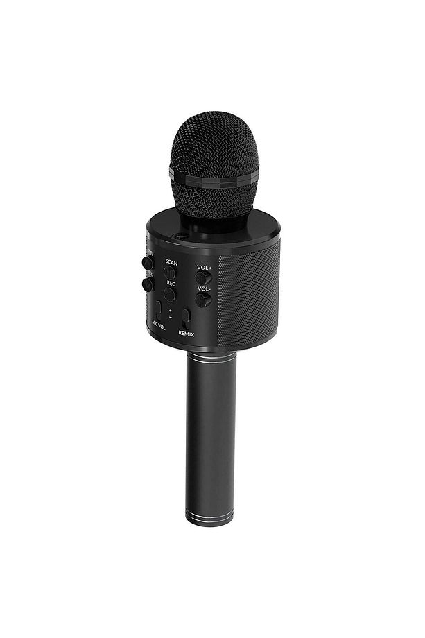 Karaoke Mikrofon Bluetooth Aux Usb Sd Kart Girişli Siyah (WS-858) - 2