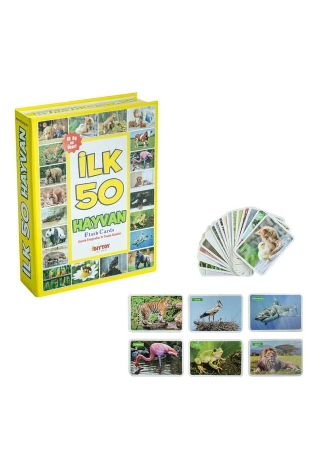 الحيوانات الأولى رقم 50 - 3