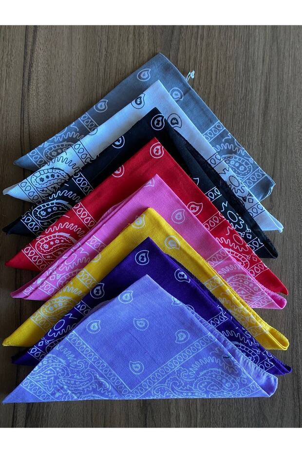 Ethnic Pattern Unisex Bandana Set of 8 - 1