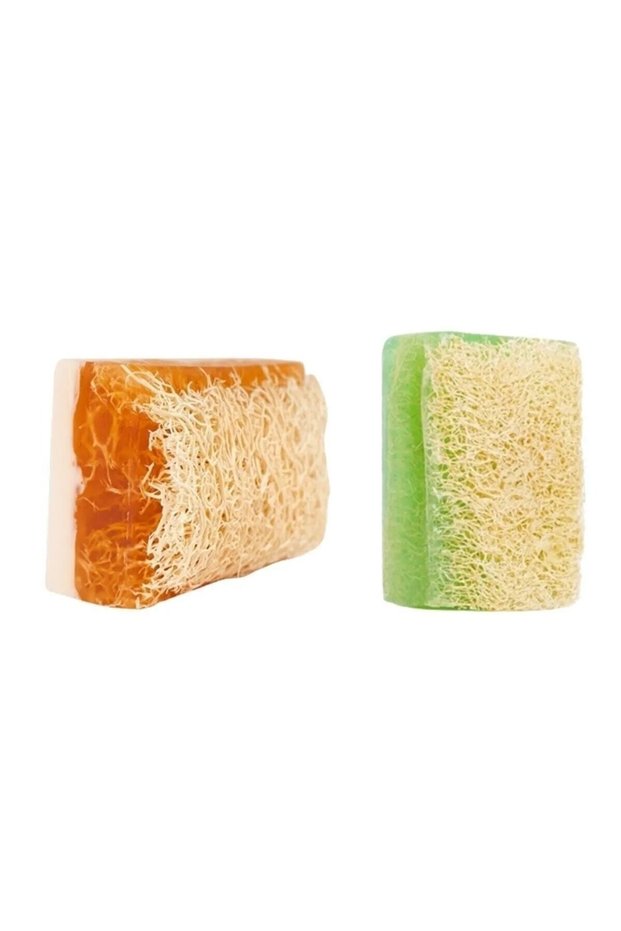 Handmade Pumpkin Fiber Donkey Milk Honey & Aloe Vera Soap Set of 2