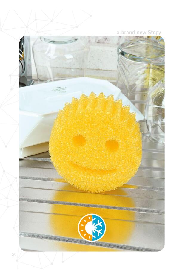 Hobby Sünger Gülen Yüz Tekli - 2