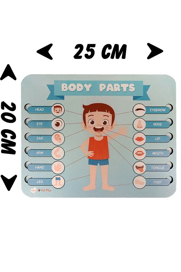 Ingilizce Erkek Vücut Parçaları Puzzle Yapboz Eğitici Oyuncak - 7