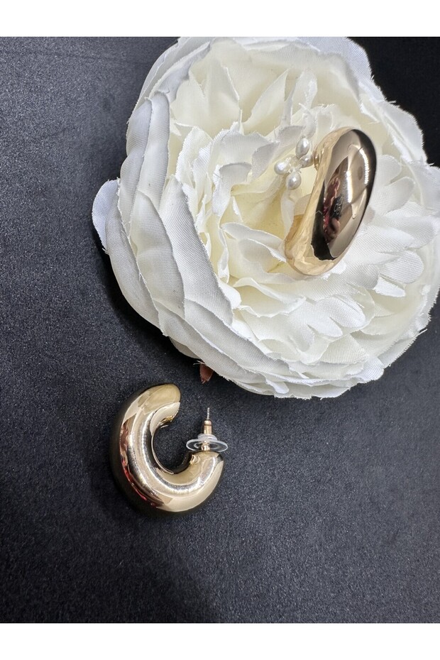 نموذج حلقة هدية القرط - 1