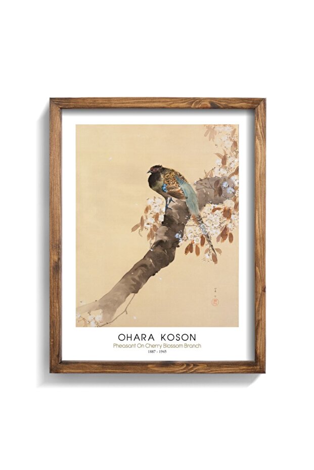 Peacock on a Cherry Blossom Branch - Ohara Koson - Wooden Frame