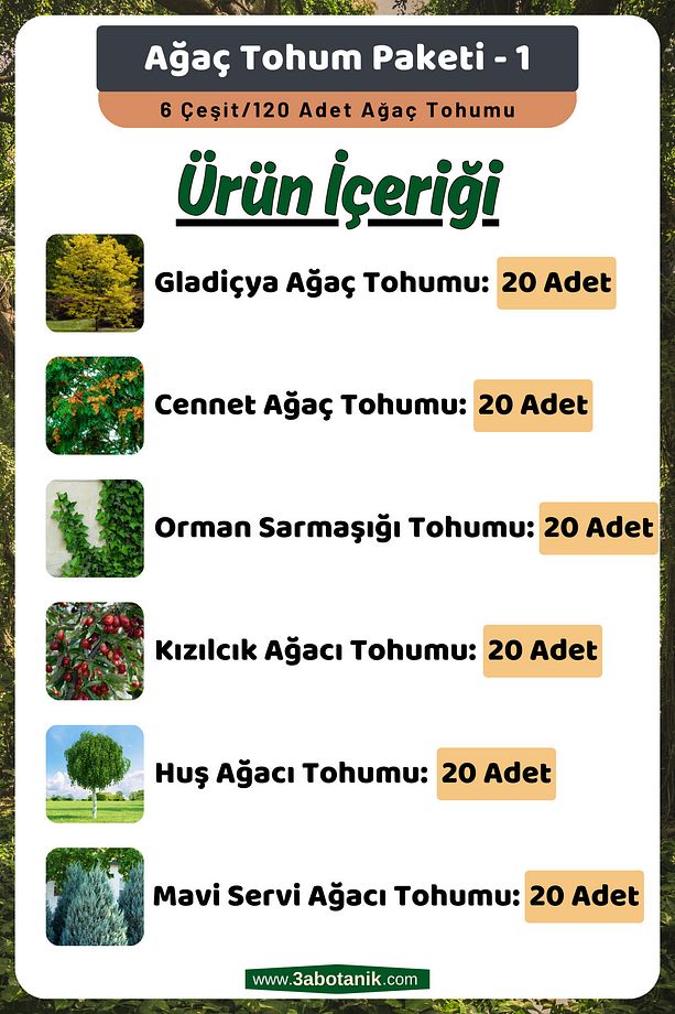 Ağaç Tohum Paketi-1, (GLADİÇYA, CENNET, ORMAN SARMAŞIĞI, KIZILCIK, HUŞ, MAVİ SERVİ) Ağaç Tohumları - 2