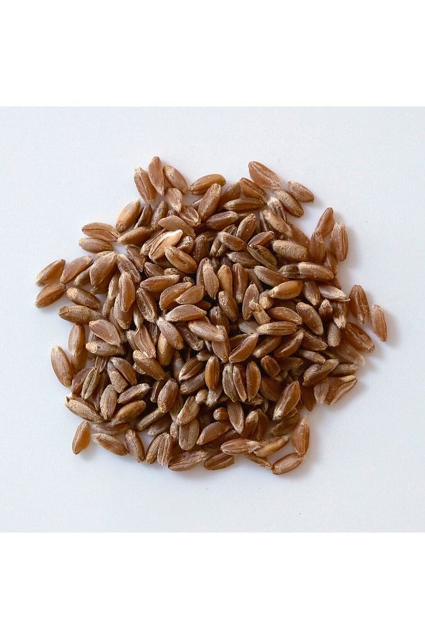 Kızıl Buğday, Spelt(DİNKEL) Unu 6 Adet X 1kg Eko Paket - 2