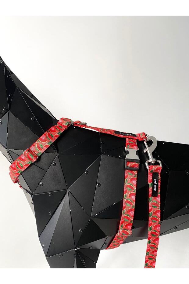 طقم طوق مقاس صغير موديل البطيخ - 3