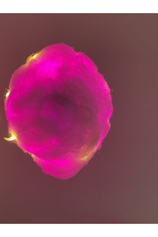 Nightcloud Sarkıt - 7