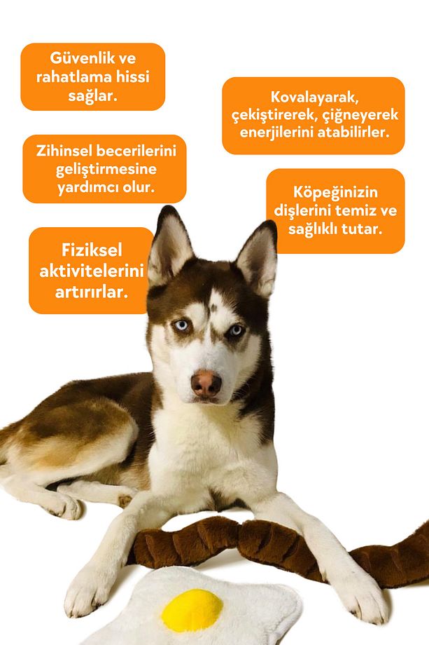Kahvaltı Keyfi Köpek Peluş Oyuncak Seti 2 Adet Ses Çıkaran Köpek Çekiştirme Oyuncakları - 7