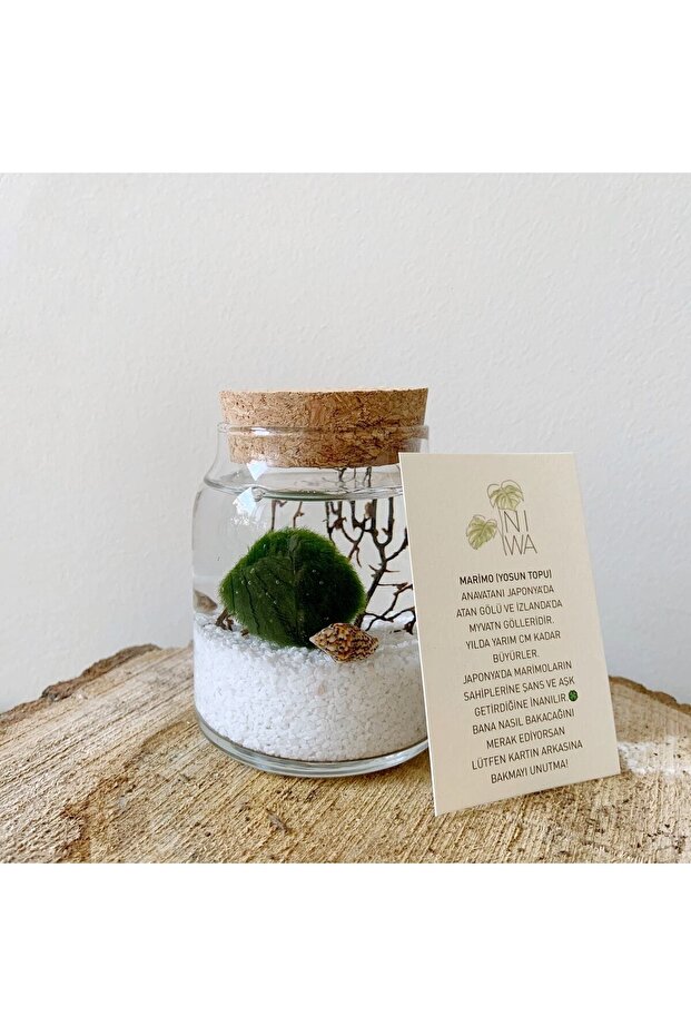 Marımo Tıny - 1