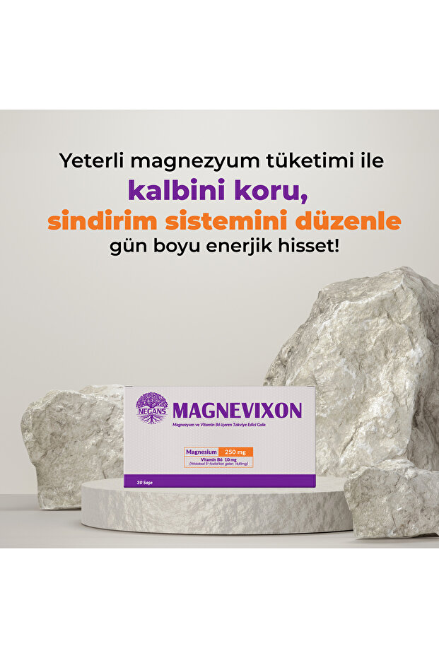 Magnevıxon - 2