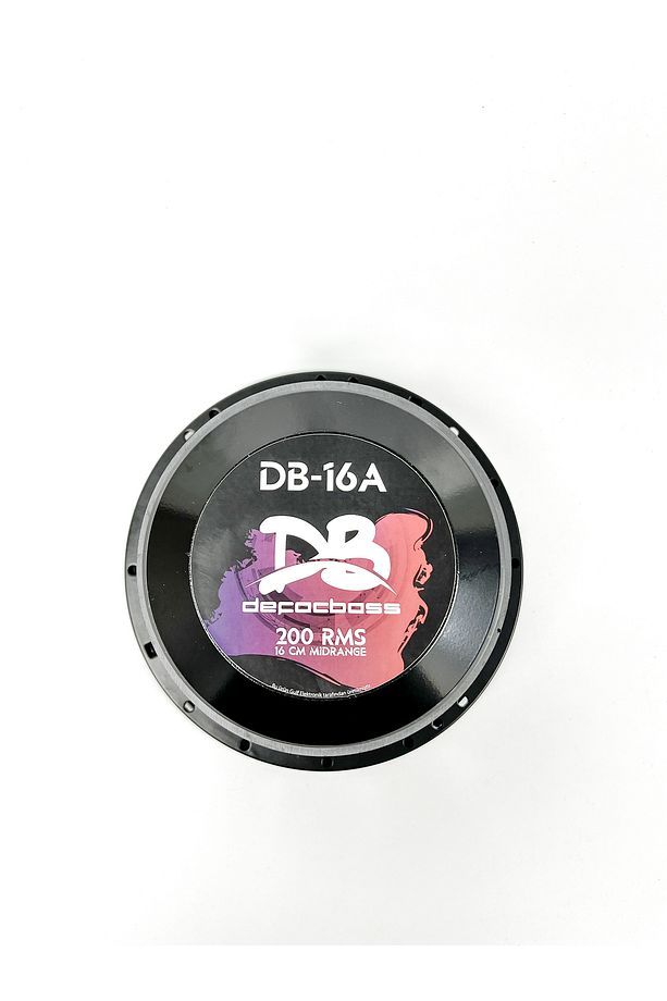 DB-16A 16 Cm Midrange ( Yüksek performans ) - 6