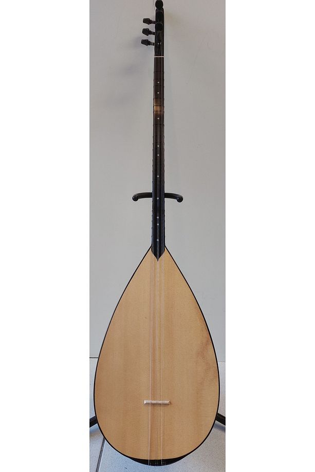 Profesyonel Uzun Sap Ardıç Bağlama - 4