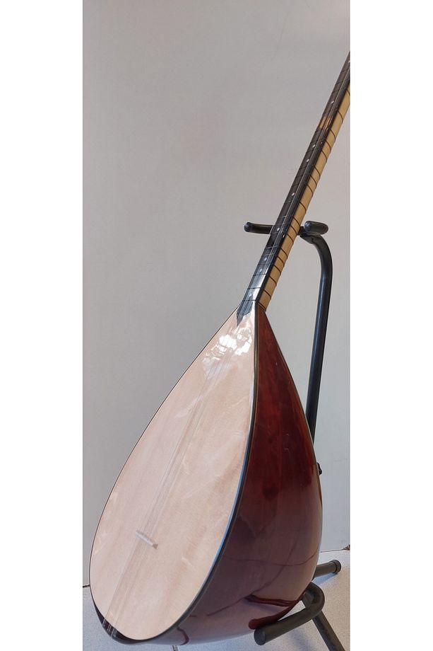 Profesyonel Uzun Sap Ardıç Bağlama - 3
