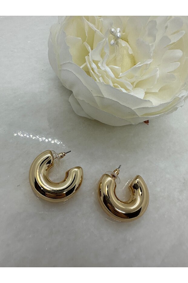 نموذج حلقة هدية القرط - 4