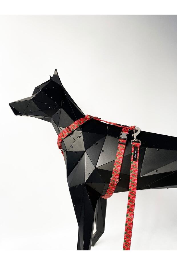 طقم طوق مقاس صغير موديل البطيخ - 2