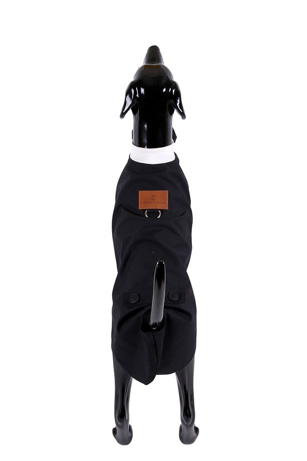 Özel Tasarım Couture El Işçiliği Tek Paça Kedi & Köpek Smokin - 3