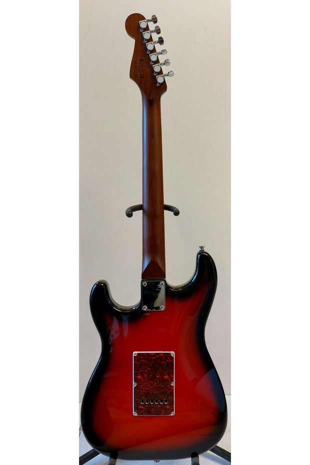 Elektro Gitar - 4