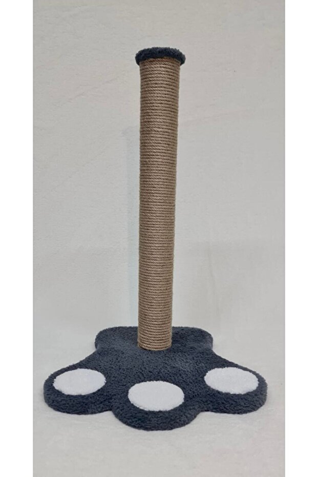 Paw Cat Scratching - 1