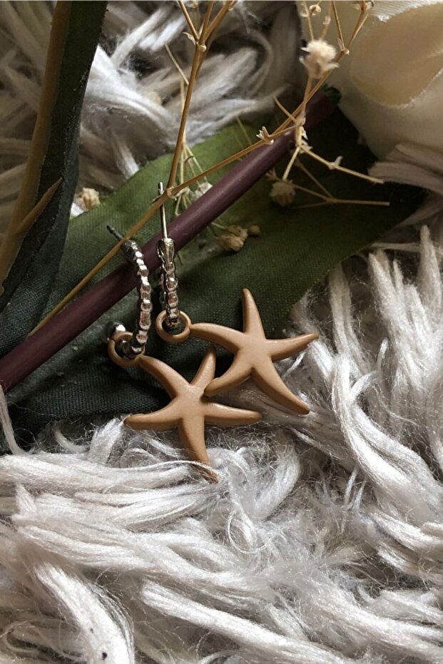Matte Milk Coffee Color Antiallergic Star Earrings