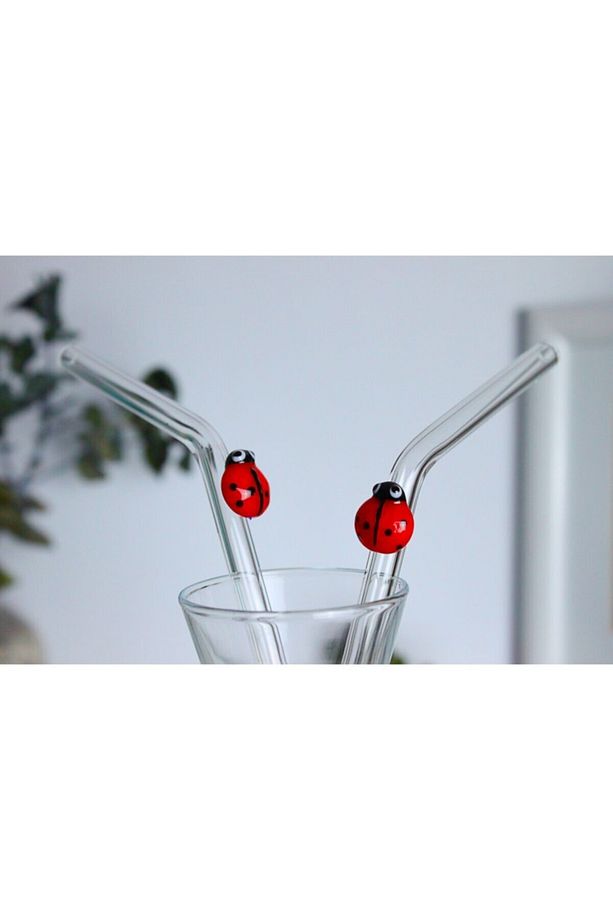 Uğur Böceği Cam Pipet 2'li Set - 2