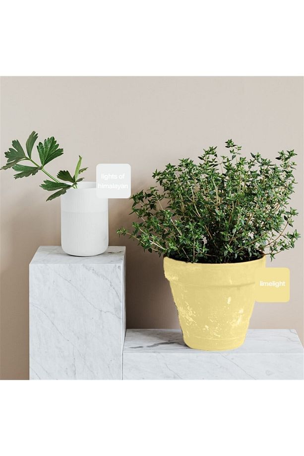 Lemon Drop Multisurface Kendinden Vernikli Akrilik Boya 500ML - 3