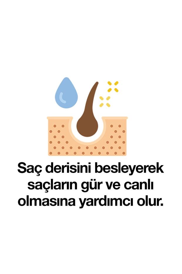 Herbal Bitkisel Şampuan Argan Yağı Özlü Yıpranmış Saçlar 3 X 500 Ml - 4
