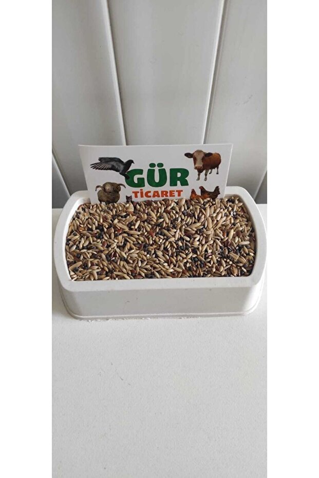 Kanarya Yemi 20 Kg. - 3