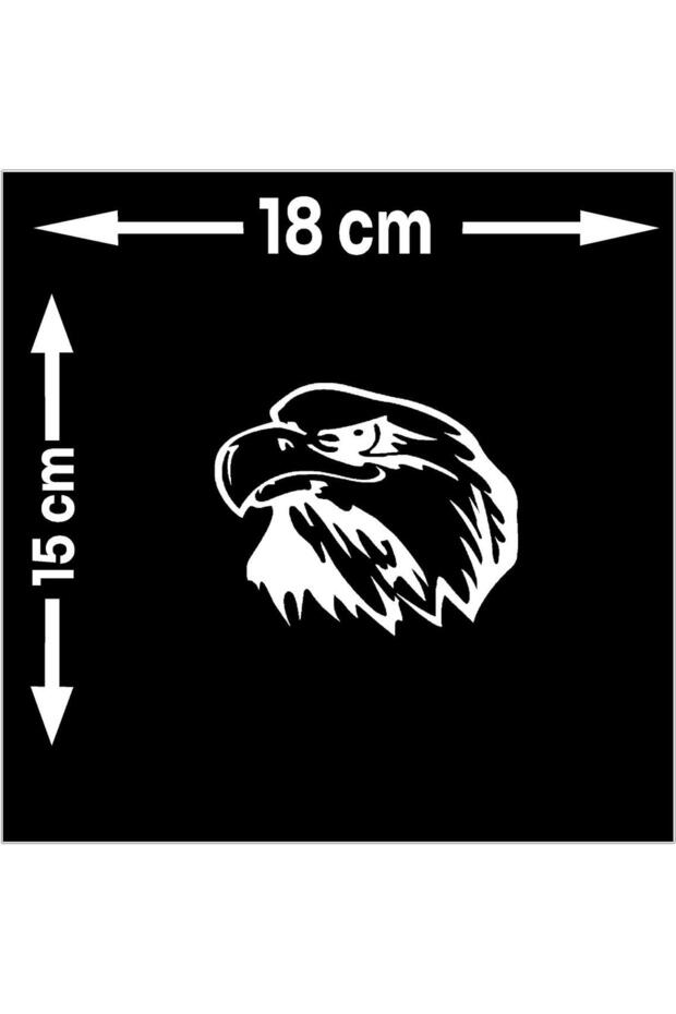 ملصق النسر متعدد الأغراض - 2