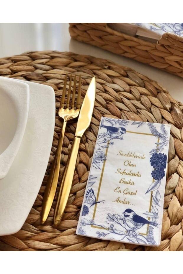 Kağıt Peçete (BLUE BLANC) - 2