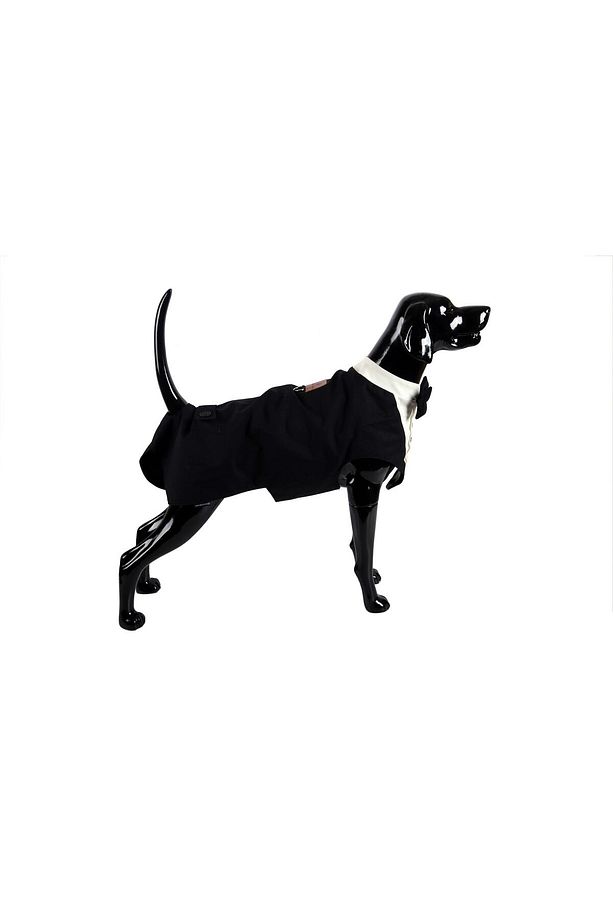 Özel Tasarım Couture El Işçiliği Tek Paça Kedi & Köpek Smokin - 2