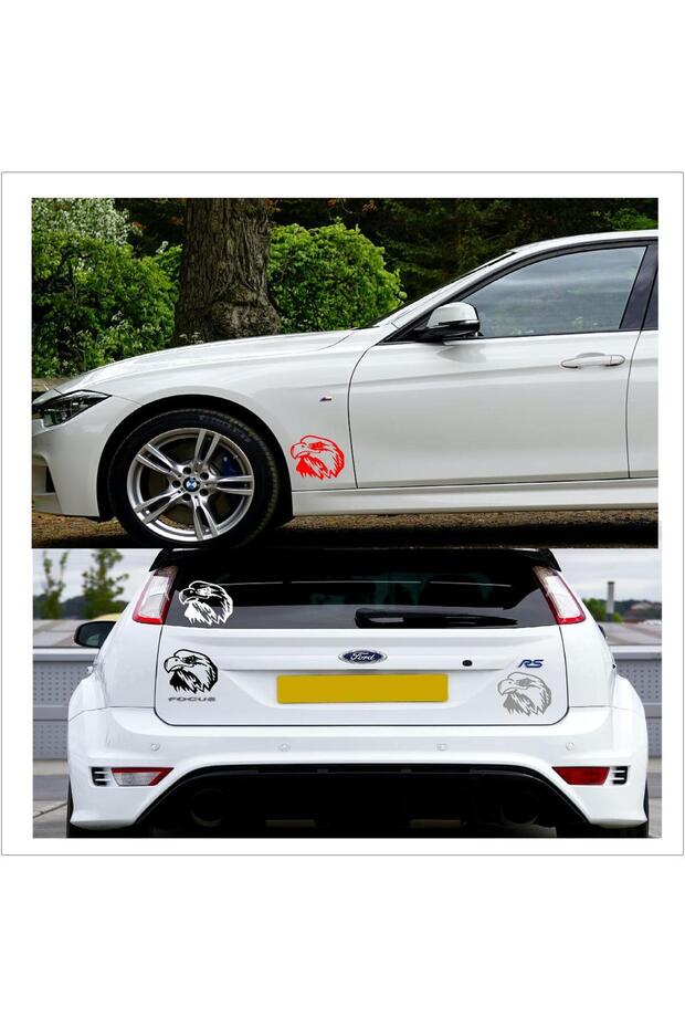 ملصق النسر متعدد الأغراض - 3