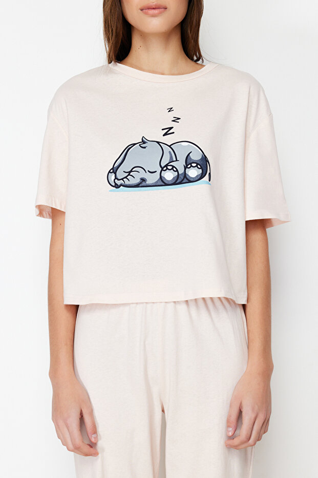 Pudra %100 Pamuklu Fil Baskılı Örme Pijama Takımı THMSS24PT00070 - 4