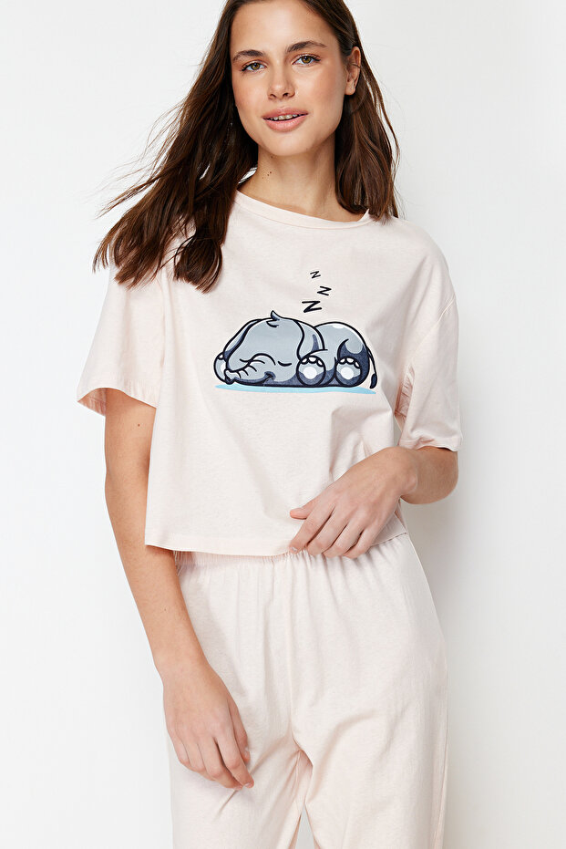 Pudra %100 Pamuklu Fil Baskılı Örme Pijama Takımı THMSS24PT00070 - 1