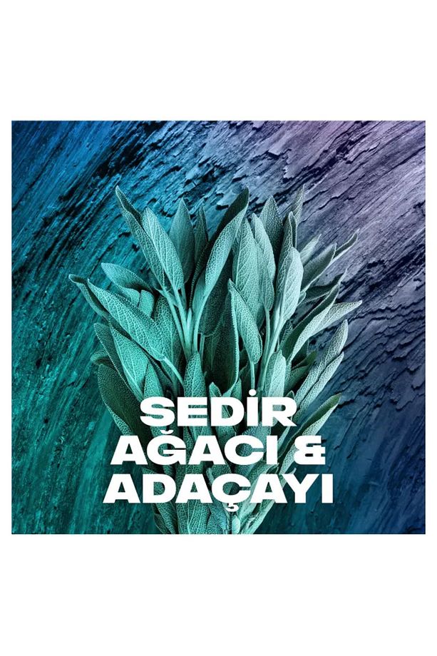 Erkek Sprey Deodorant Apollo 48 Saat Etkileyici Koku Vücut Spreyi 150 ml * 6 ADET  BSKAXEAPOLLO6 - 4