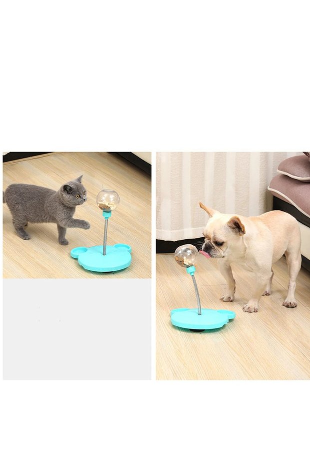 Cat Dog Reward Food Toy Catnip with Mint Herb Cat Food Reward Ball Pet