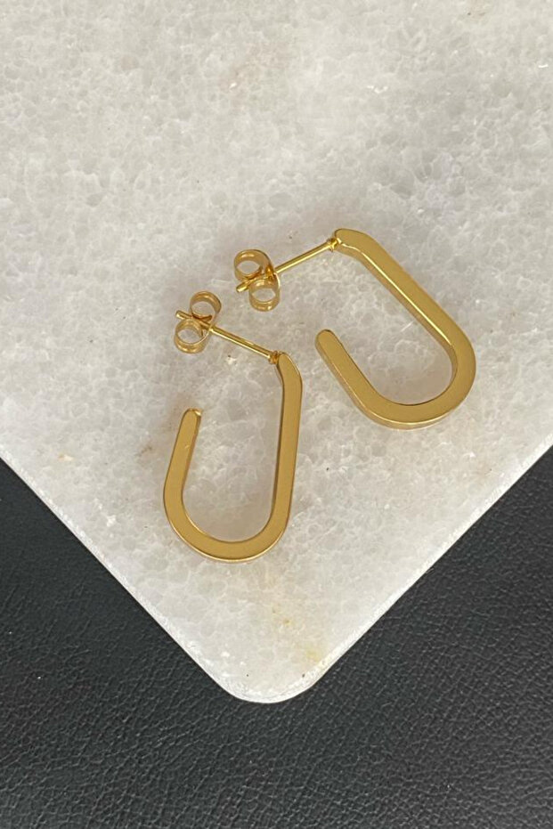 Unisex 316l Surgical Steel Hook Gold Hoop Earrings