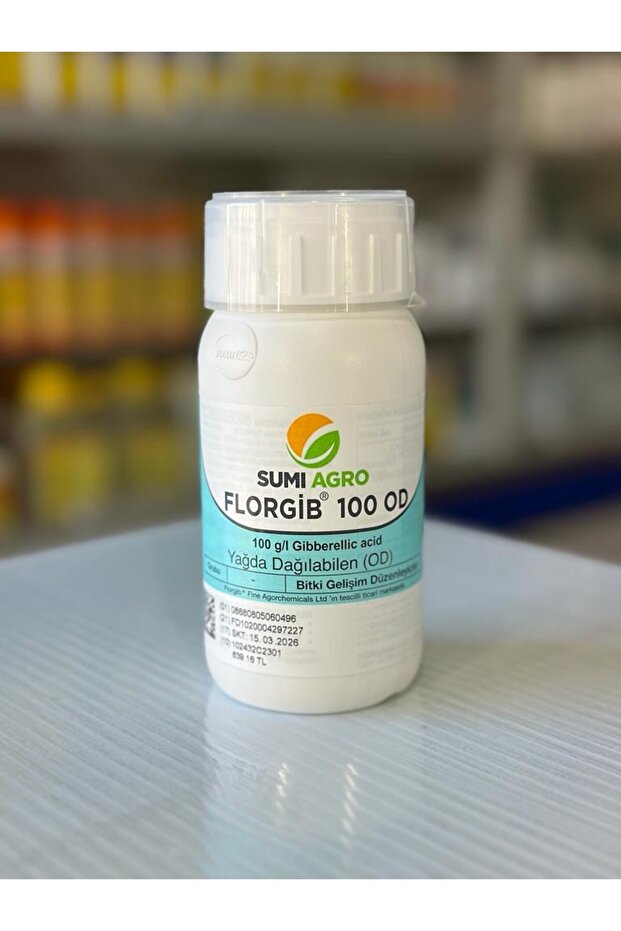 FLORGİB 100 OD 0,25 L - 1