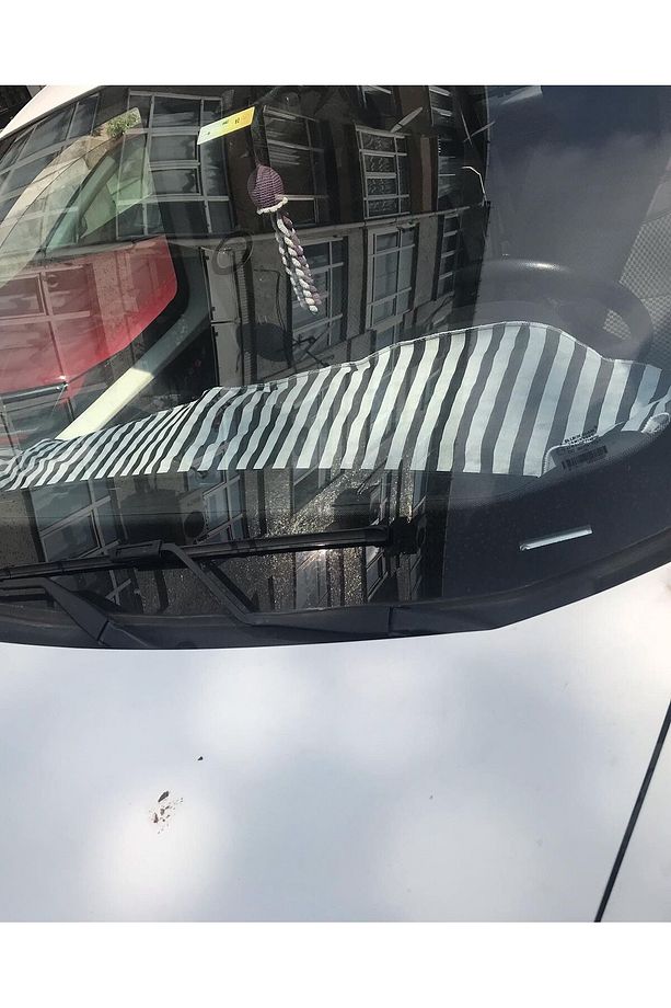 zebra Torpdio Örtüsü Havlusu Göğüs Havlusu Yıkanabilir Biyeli 5 renk - 2